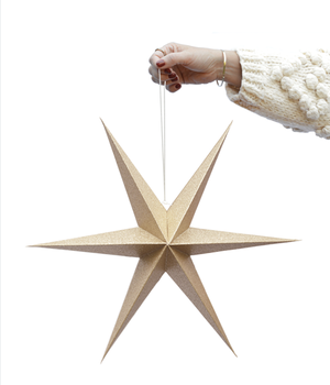 DELIGHT DEPARTMENT Papiersterne / Paper Stars DIVERSE FARBEN
