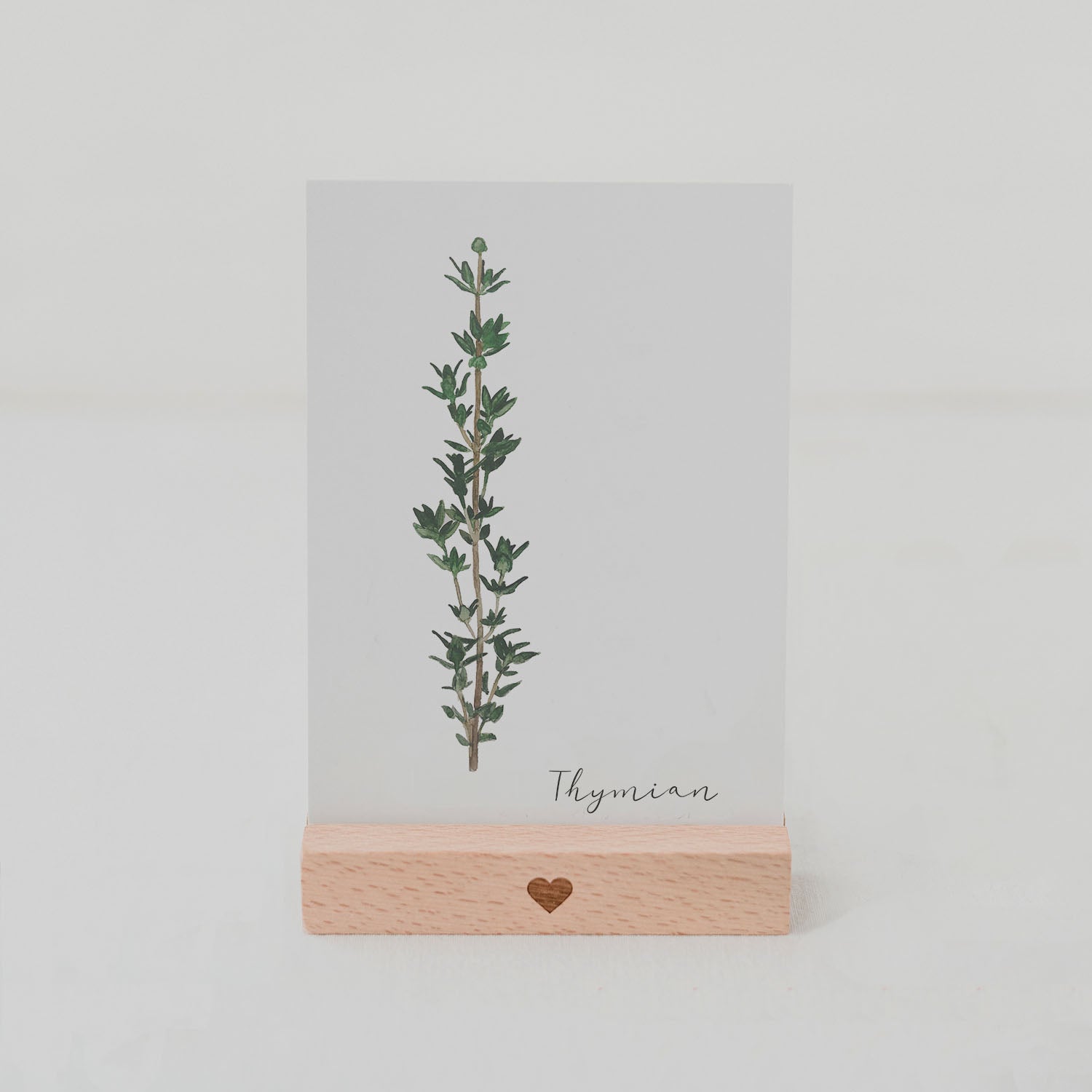 EULENSCHNITT Kräuterkarte Thymian