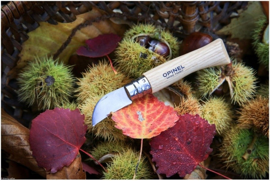 OPINEL No. 07, Kastanienmesser