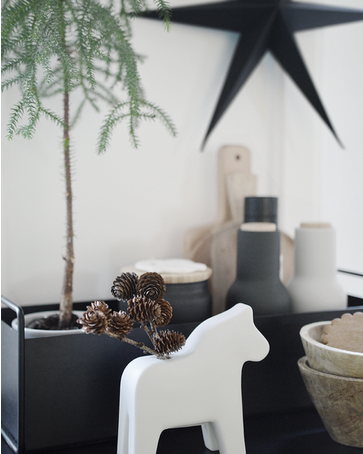 DELIGHT DEPARTMENT Papiersterne / Paper Stars