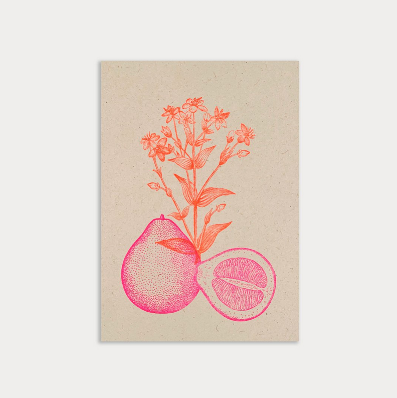 HUNGRY PAPER Postkarte "Pomelo" / Ökopapier/ Pflanzenfarbe