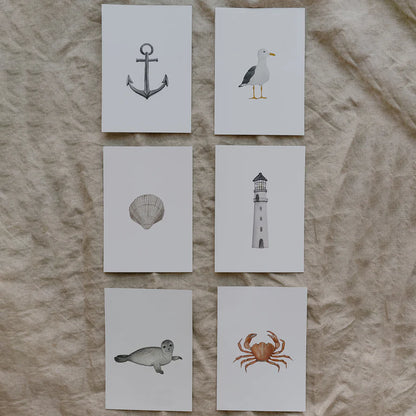 Eulenschnitt Aquarellkarte Strandkrabbe 