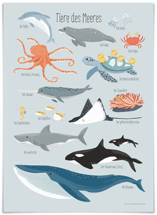 VIERUNDFÜNZIG Poster "Tiere des Meeres"