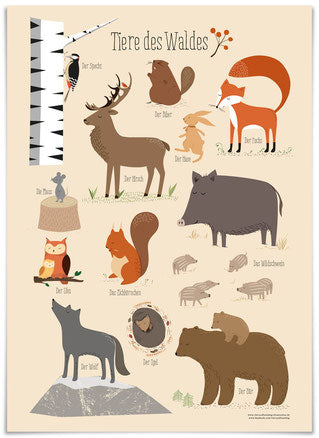 VIERUNDFÜNFZIG Poster "Tiere des Waldes"