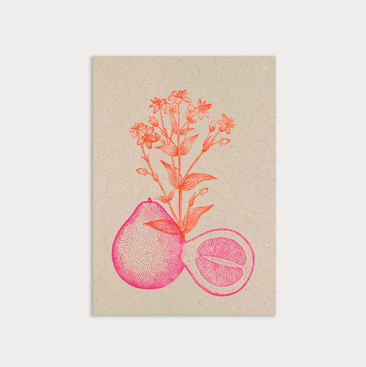 HUNGRY PAPER Postkarte "Pomelo" / Ökopapier/ Pflanzenfarbe